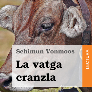 Transposiziuns