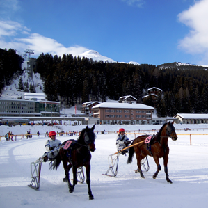 Scanvetg / Arosa