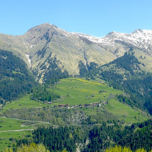 Calfreisen