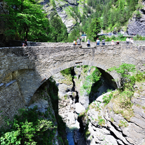 Rongellen