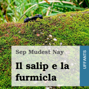 Il salip e la furmicla