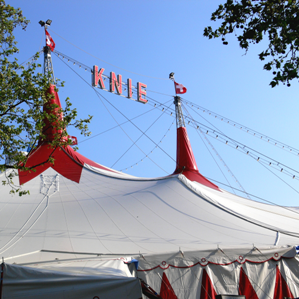 Il circus vegn