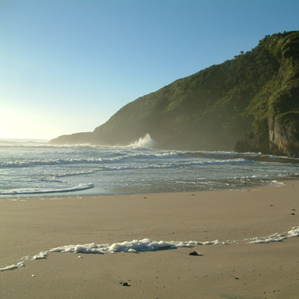 Nova Zelanda