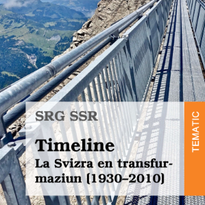 Timeline