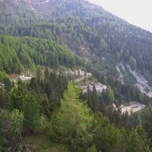 Pass dal Malögia